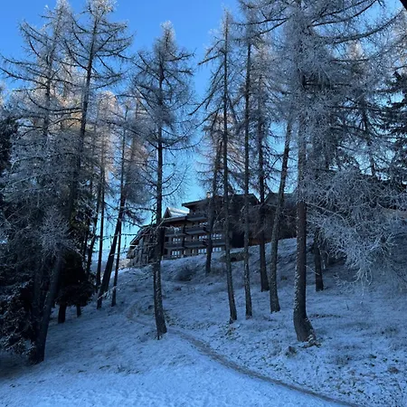 Pied Des Pistes Vue Exceptionnelle La Plagne-Tarentaise