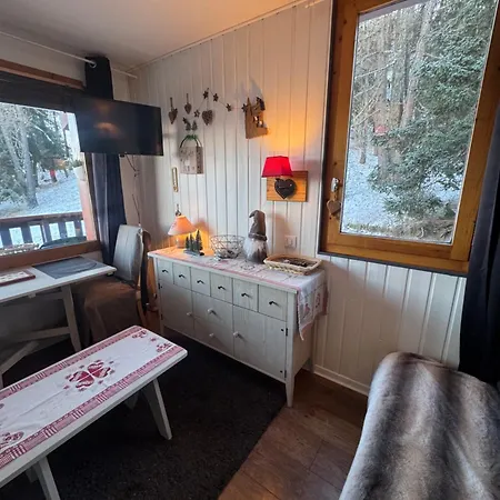 Appartement Pied Des Pistes Vue Exceptionnelle La Plagne-Tarentaise